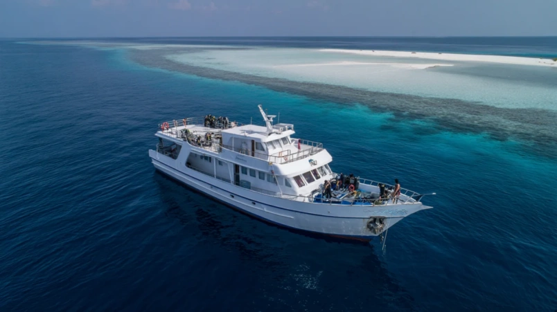 Liveaboard-båt ankrad vid en maldivisk atoll för dykning och snorkling