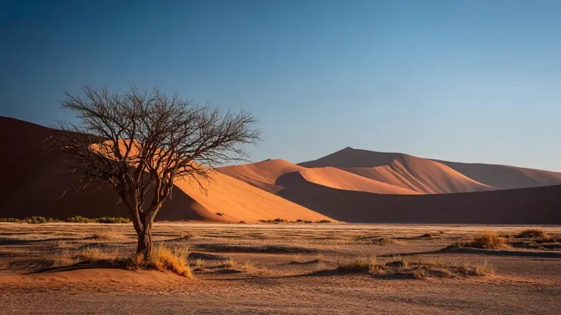 Röda sanddyner i Sossusvlei, Namibia med klarblå himmel