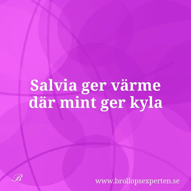 Salvia ger värme där mint ger kyla